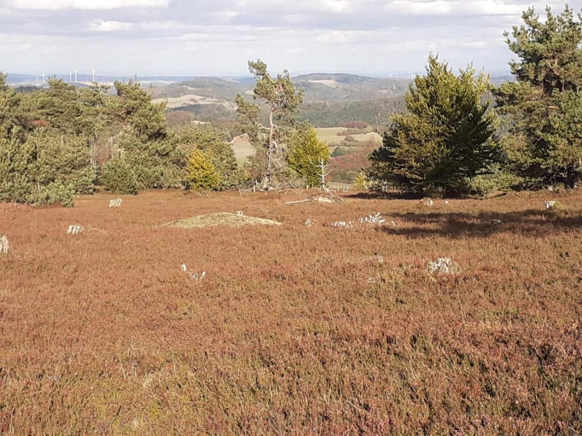 Ferienwohnung Gipfelblick * Willingen (Upland)